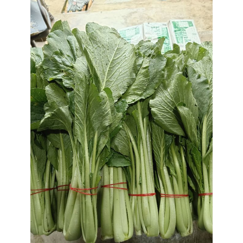 

Sayur Caisim Segar 500 Gram