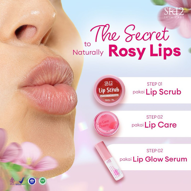 lip scrub/sr12/vitamin bibir/scrub bibir/