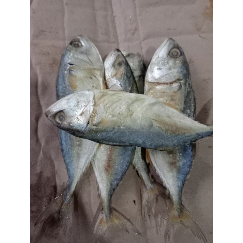 

Ikan Asin Peda Banjar 500g