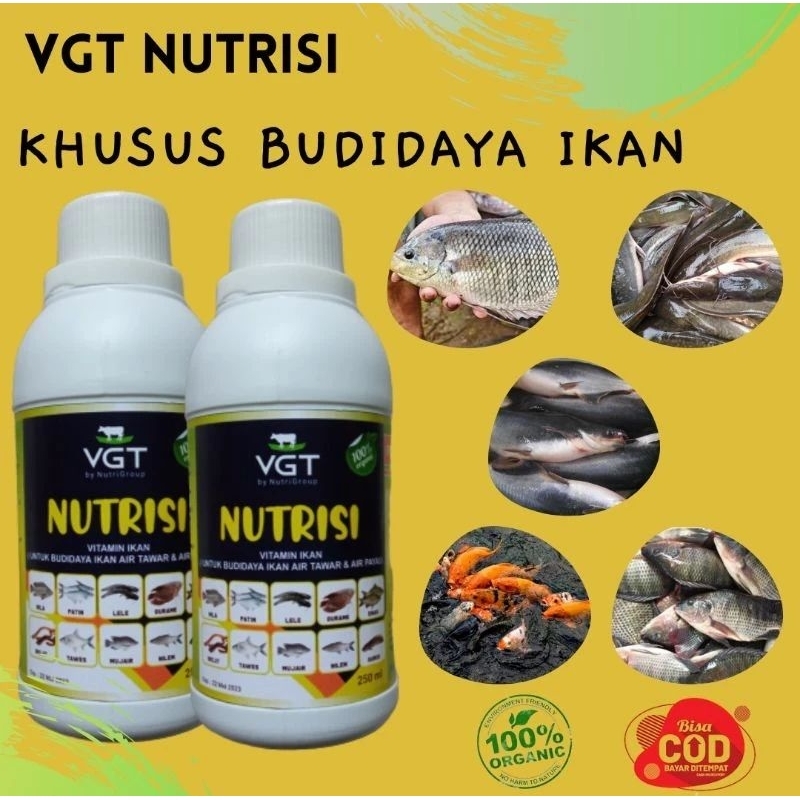 VGT Nutrisi Organik Penggemuk, Mempercepat Pertumbuhan Ikan
