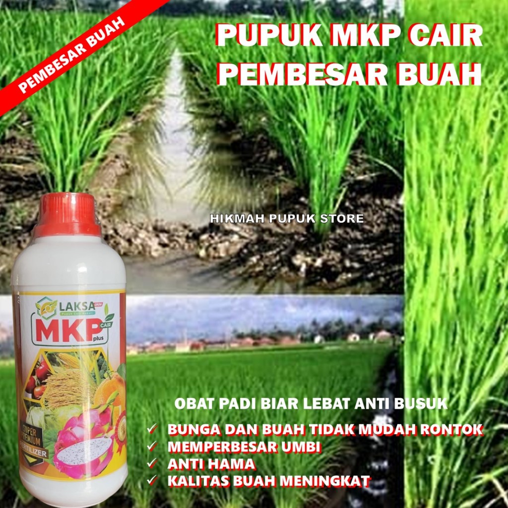 pupuk padi mkp laksa pupuk organik pupuk padi pupuk buah pupuk bunga pupuk padi, cabai pupuk perangs