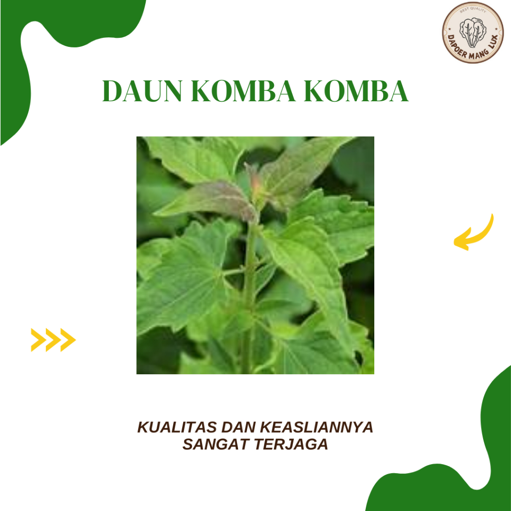 

EKSTRAK DAUN KOMBA KOMBA BEST SELLER