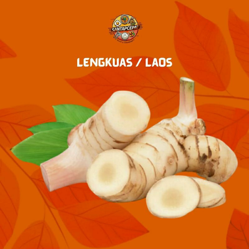 

Lengkuas Segar 250 gram – Rempah Wajib untuk Masakan Lezat