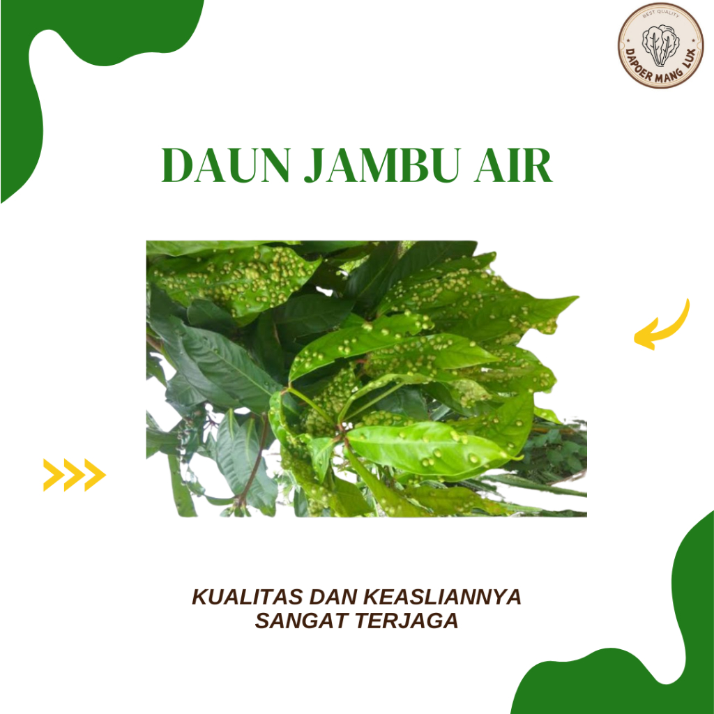 

EKSTRAK DAUN JAMBU AIR BEST SELLER