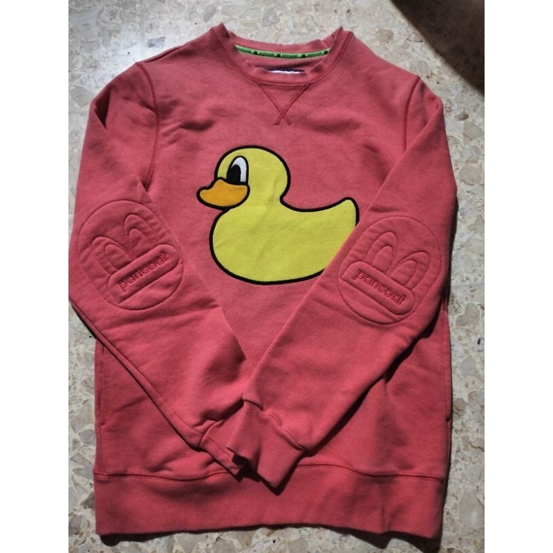 PANCOAT DUCK KECANTIKAN