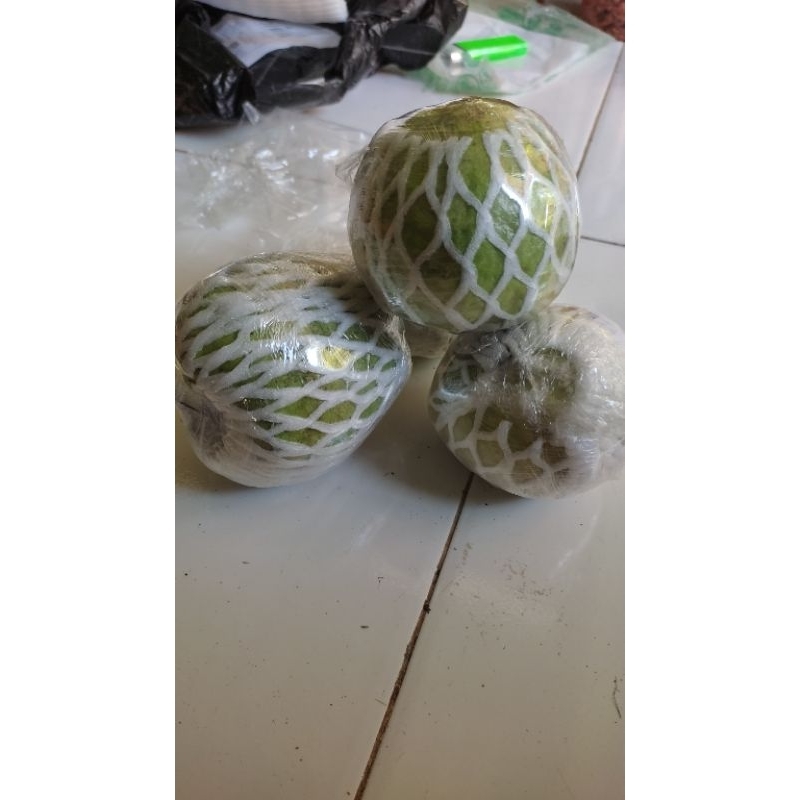 

Jambu kristal jumbo sekilo isi 2