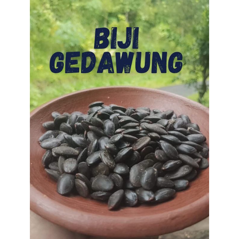 

Biji Gedawung 500 Gram | 1kg