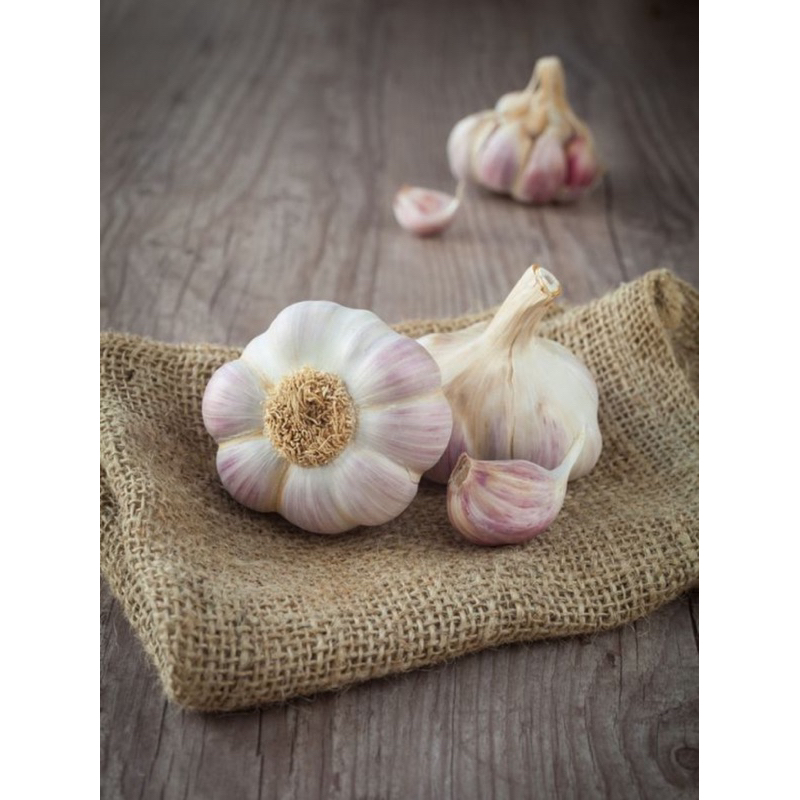 

Bawang putih 100 gram