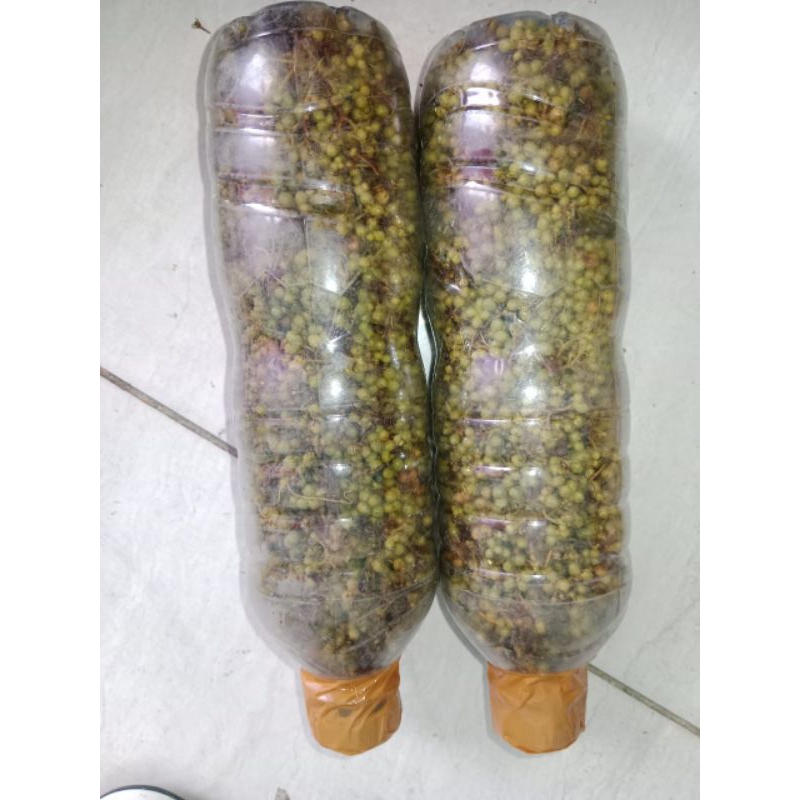 

Andaliman bumbu segar 250gram