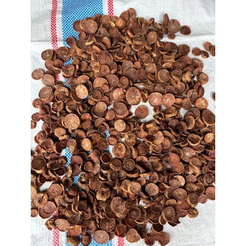 

Pinang Muda Iris Kering 250Gram| Obat Tradisional Alami