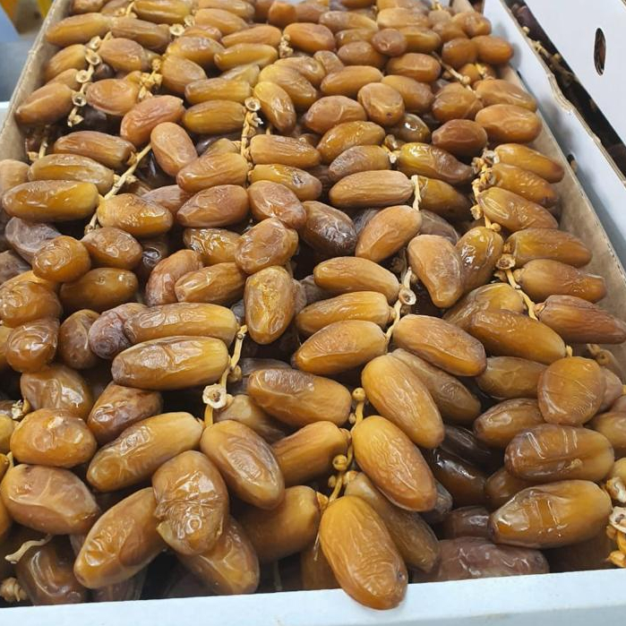 

KURMA TUNISIA TANGKAI 1 KG