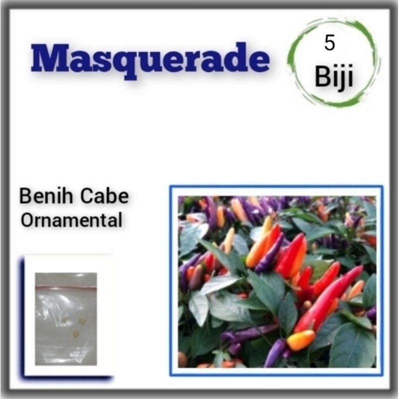 5 Benih Cabe Ungu Masquerade Bibit Tanaman Cabai Hias Pelangi
