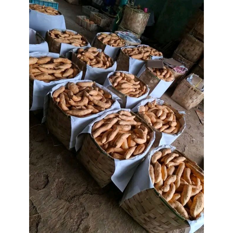 

Ubi madu 7 kg cilembu ubi madu to spek oven mentah bersih