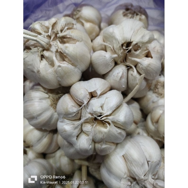 

COD Bawang Putih Super / 1 kg