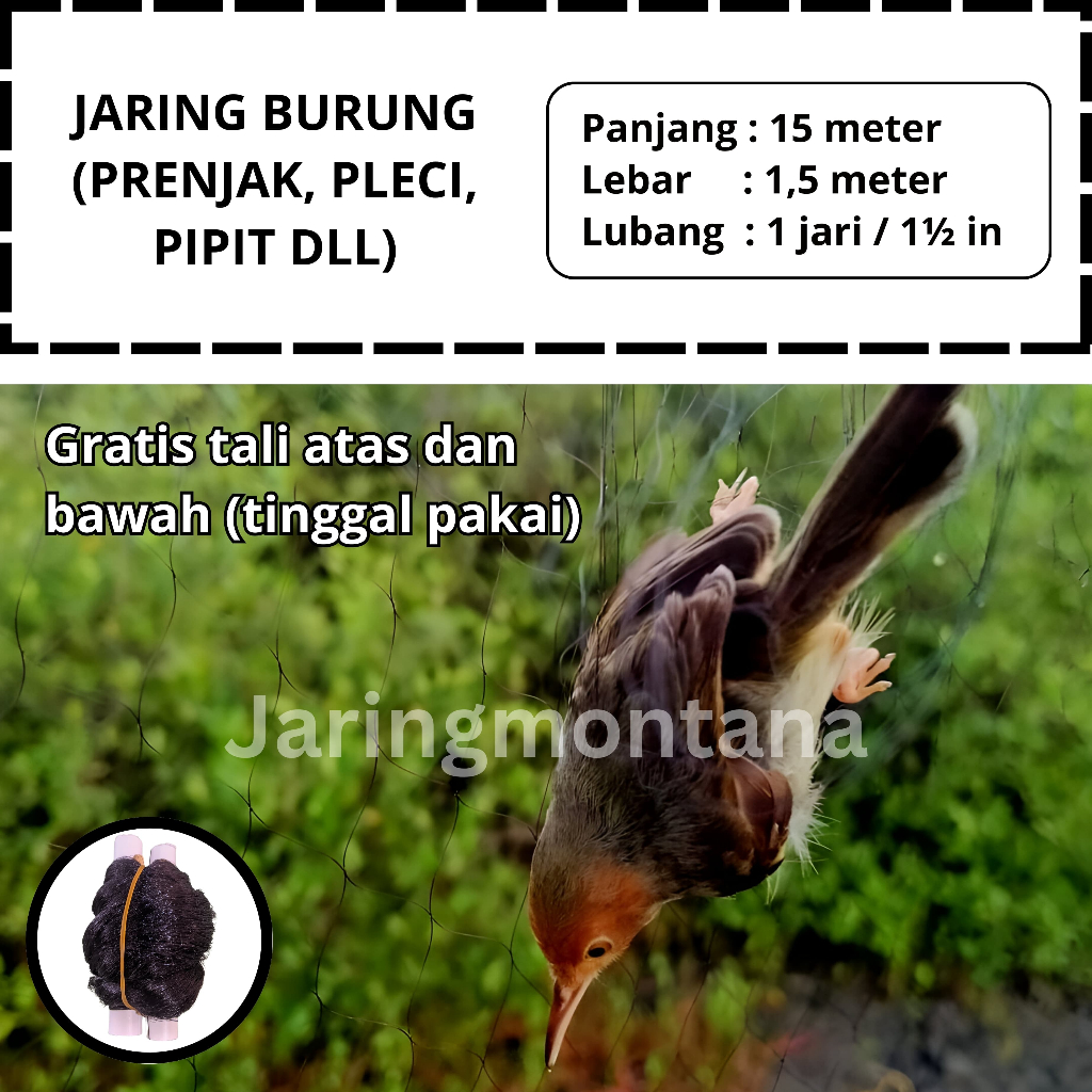 JARING BURUNG PRENJAK JARING BURUNG PIPIT PANJANG 15 METER JARING BURUNG SAWAH PIKAT BURUNG