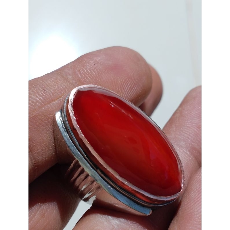 pandan merah Jamblang