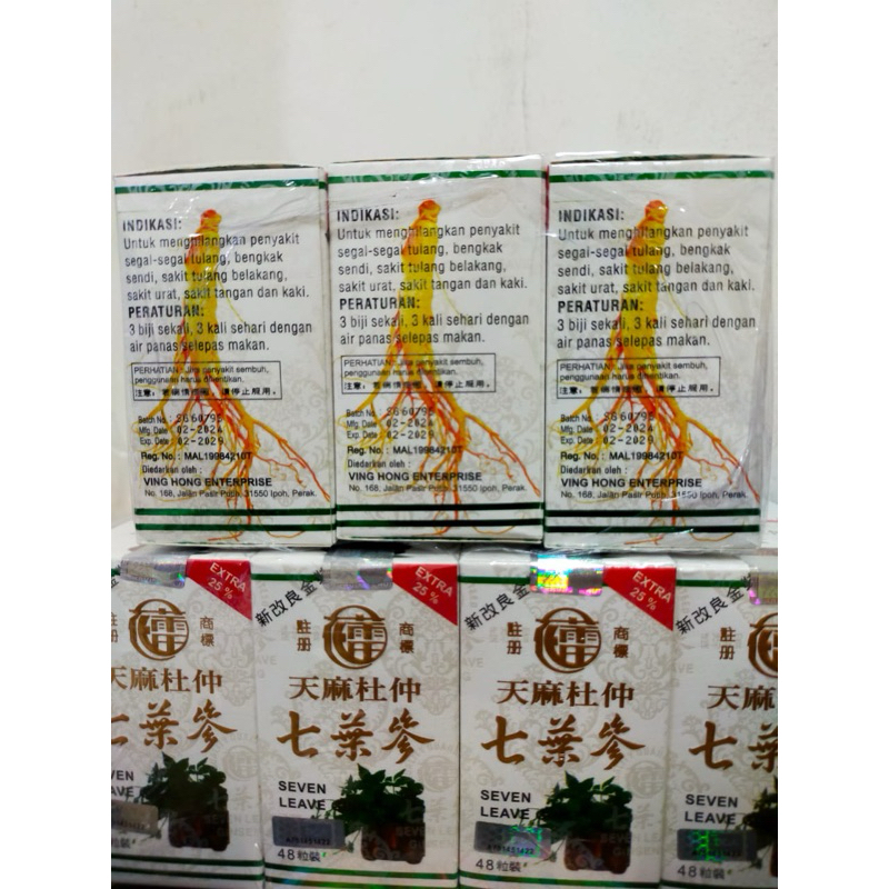 Asli Seven Leave Ginseng perlusin 12 ( botol) sendi ,sakit tangan kaki dan sakit tulang Seven leave 