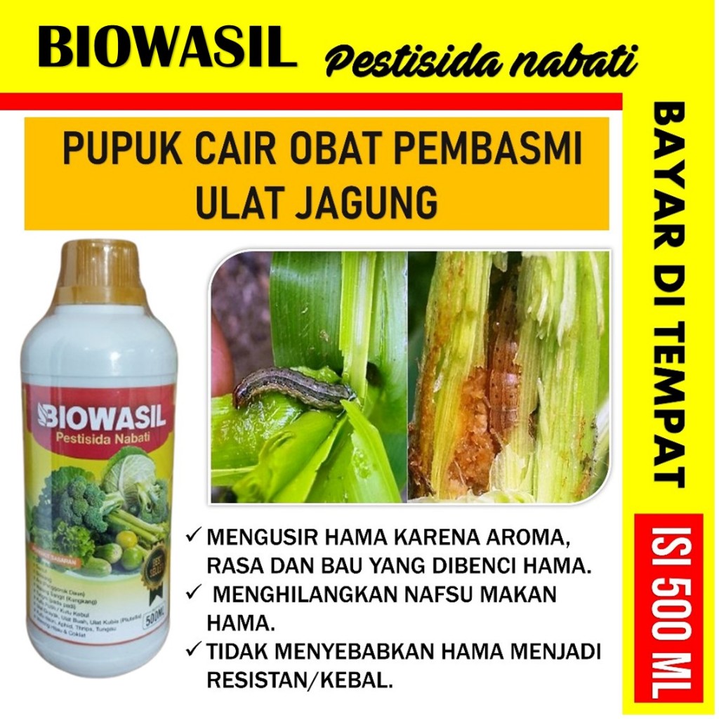 (BISA COD) BIOWASIL 500 ML OBAT PEMBASMI HAMA ULAT JAGUNG MERAH, BAWANG, PARE Obat Hama Ulat Sayuran
