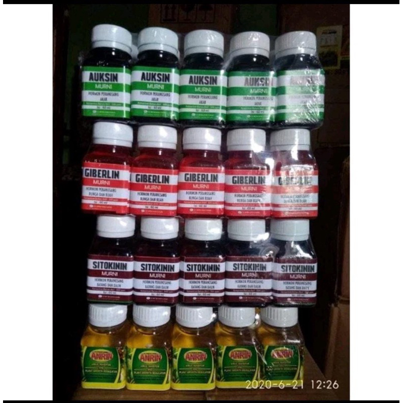 AUKSIN, GIBERELIN, SITOKININ, ANRIN ukuran 60ml
