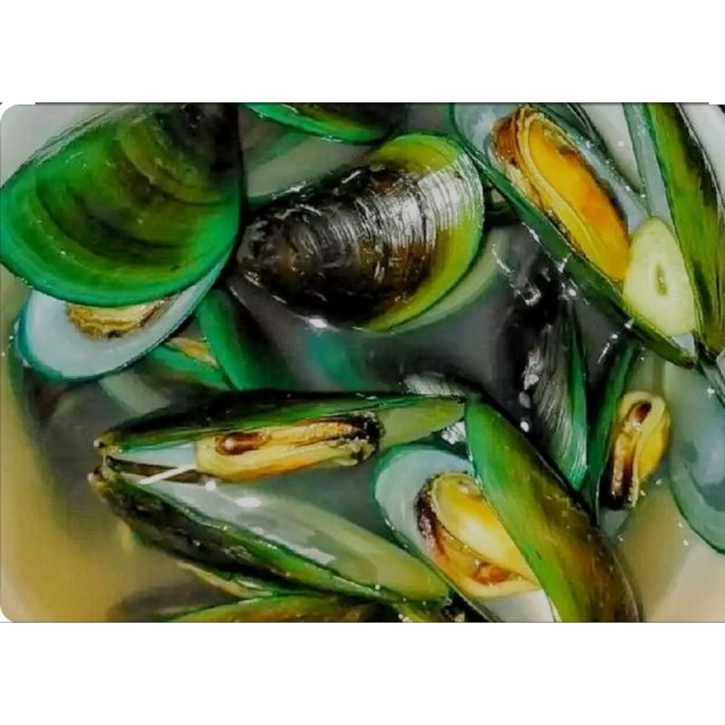 Kerang Hijau Sudah Rebusan 500gr