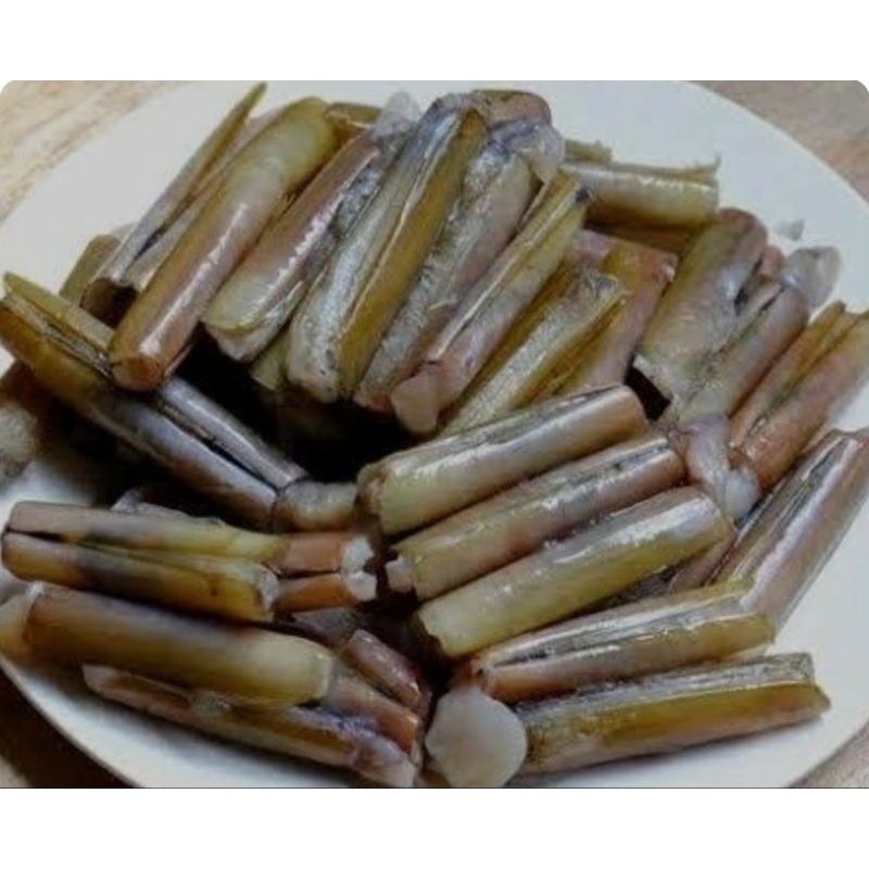 

Kerang Bambu 1kg