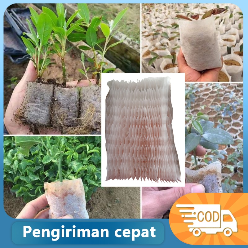 Polybag tanaman 350lubang bibit/polybag kecil untuk bibit/polybag semai benih 8*13cm