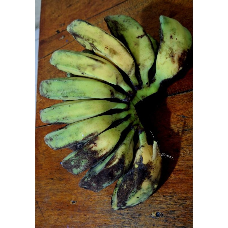

Pisang Kepok Nias