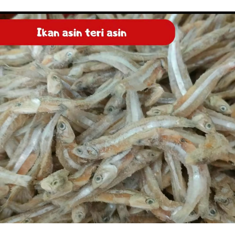 

Ikan Asin Teri