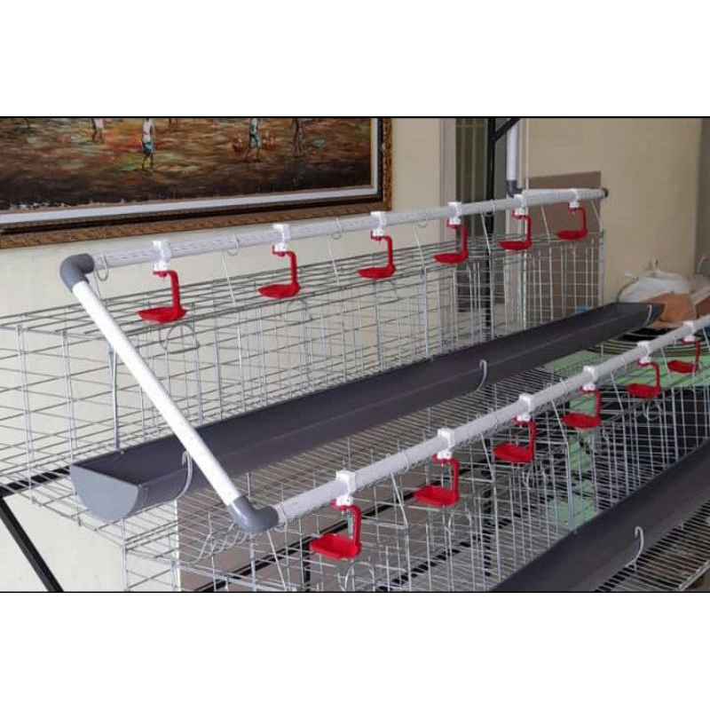 kandang ayam kandang ayam petelur 2 tingkat