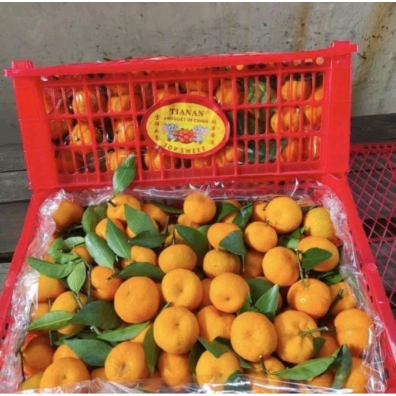 

1 krat jeruk santang 6 kg