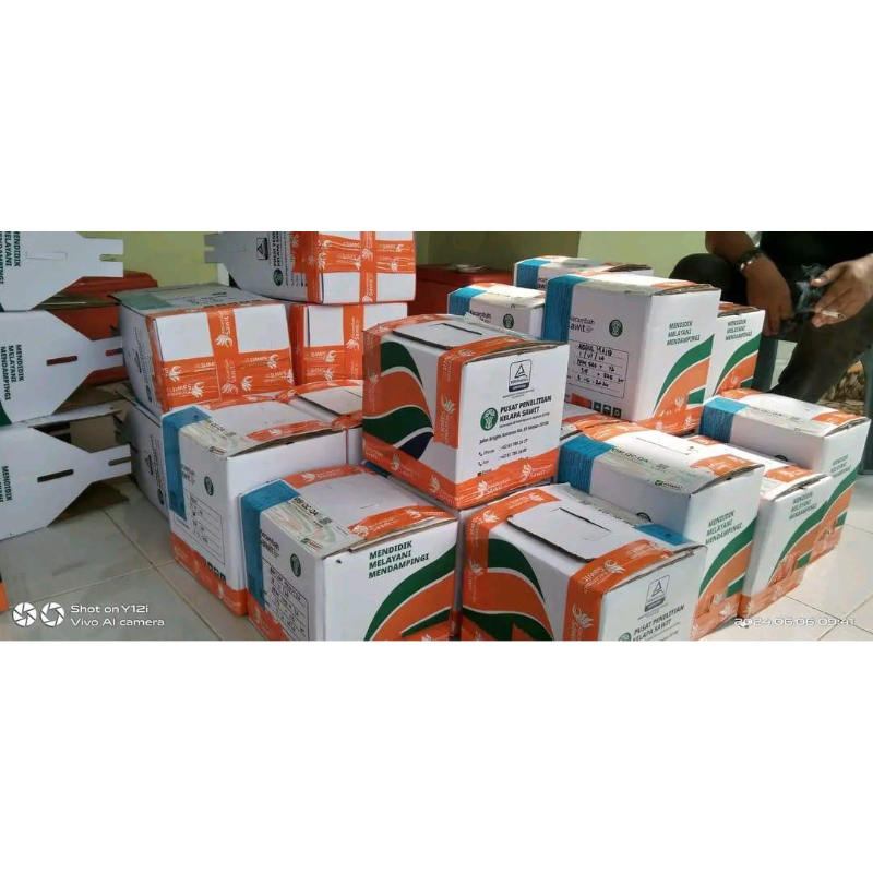 BIBIT POLONG KECAMBAH SAWIT SIMALUNGUN UNGGUL