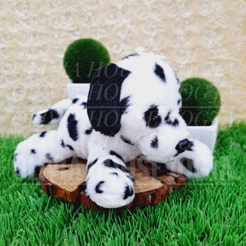 Boneka Dalmation Isi Pasir Boneka Anjing Dalmation Boneka Dalmation Dog Mini