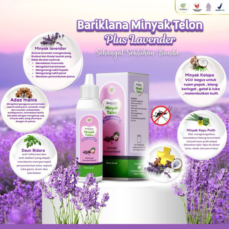 Promo [BARIKLANA] MINYAK TELON PLUS LAVENDER HERBAL