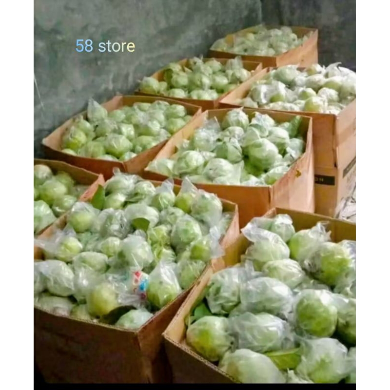 

JAMBU KRISTAL NON BIJI