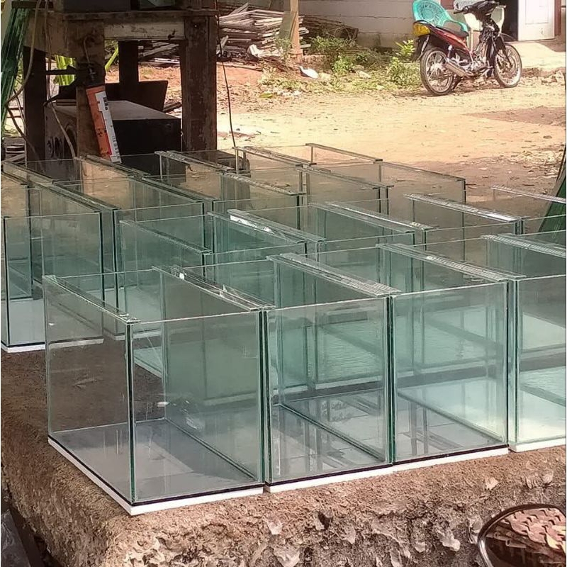 akuarium 50x25x30 kaca 5mm akuarium chana akuarium gupy