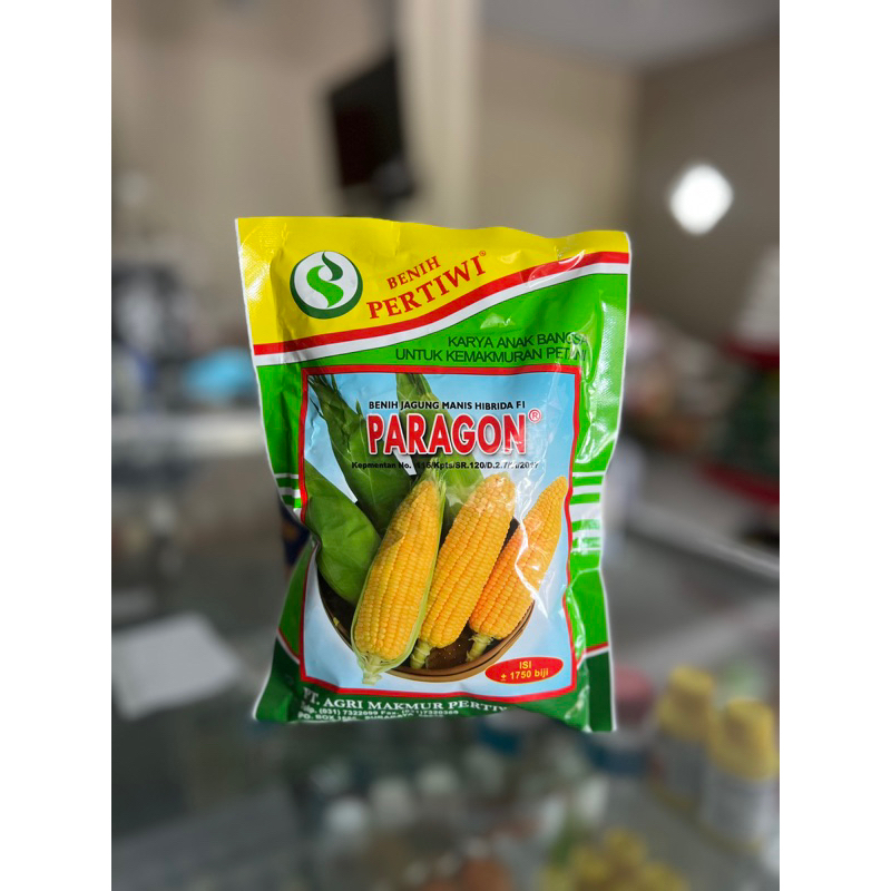 Paragon Pertiwi benih Jagung manis
