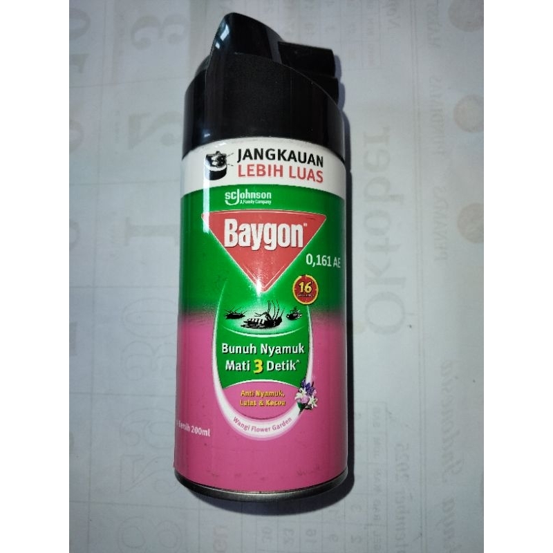 BAIGON AEROSOL 200ML