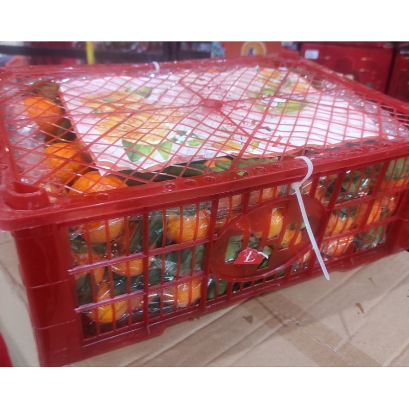 Hampers parsel parcel buah jeruk shantang imlek 6kg ifn