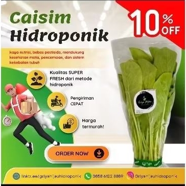 

Caisim Hidroponik Sayuran murah 200g