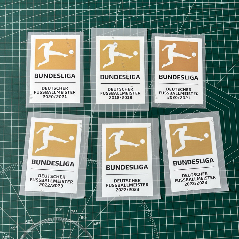 Patch Badge Bundes Gold 2016 2017 2018 2019 2020 2021 2022 2023 2024 2025 2026 Print HK