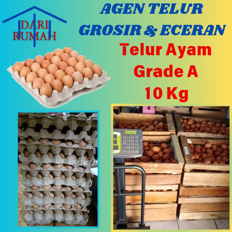 

TELUR AYAM NEGRI GRADE A MURAH 10 KG