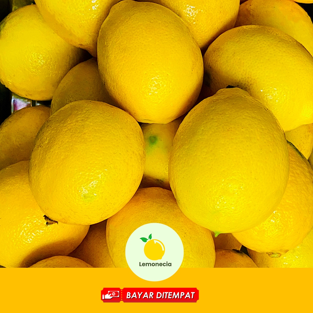 

Buah Jeruk Lemon California Lokal Premium Organik 500 gr by lemonecia