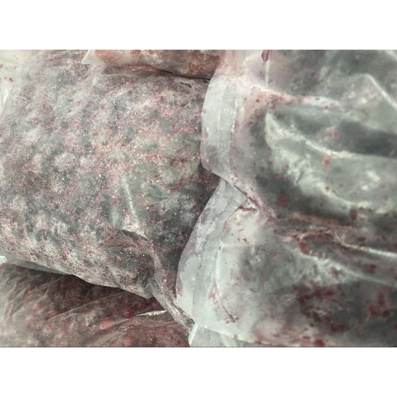 

Blueberry Frozen Impor 1 Kg