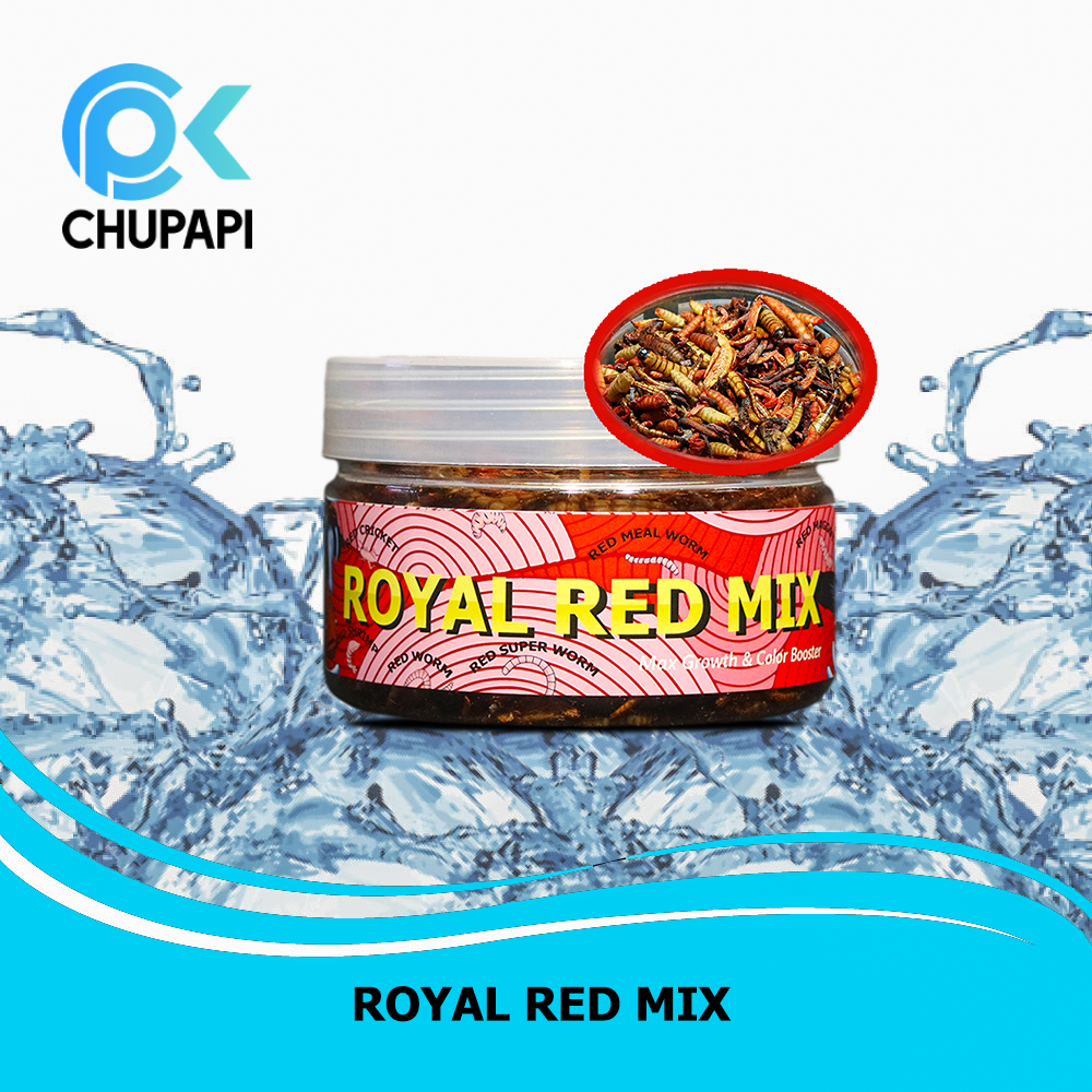 PAKAN IKAN CHANNA ROYAL CHANNA RED MIX CHANNA SYNDICATE