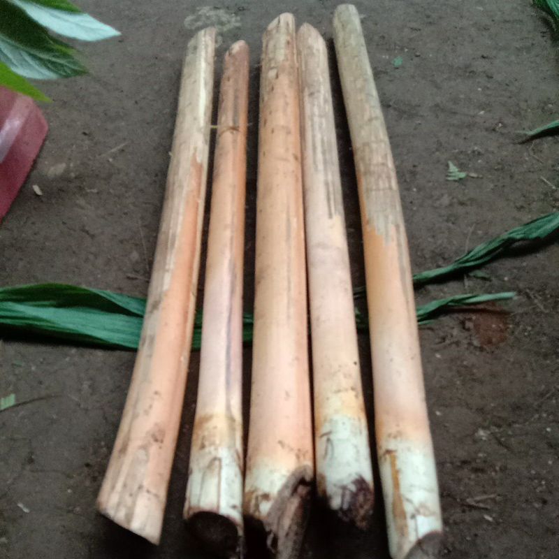 

Umbut rotan segar per 1kg sayuran segar umbut rotan