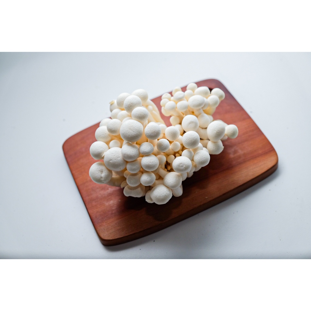 

Jamur shimeji putih segar