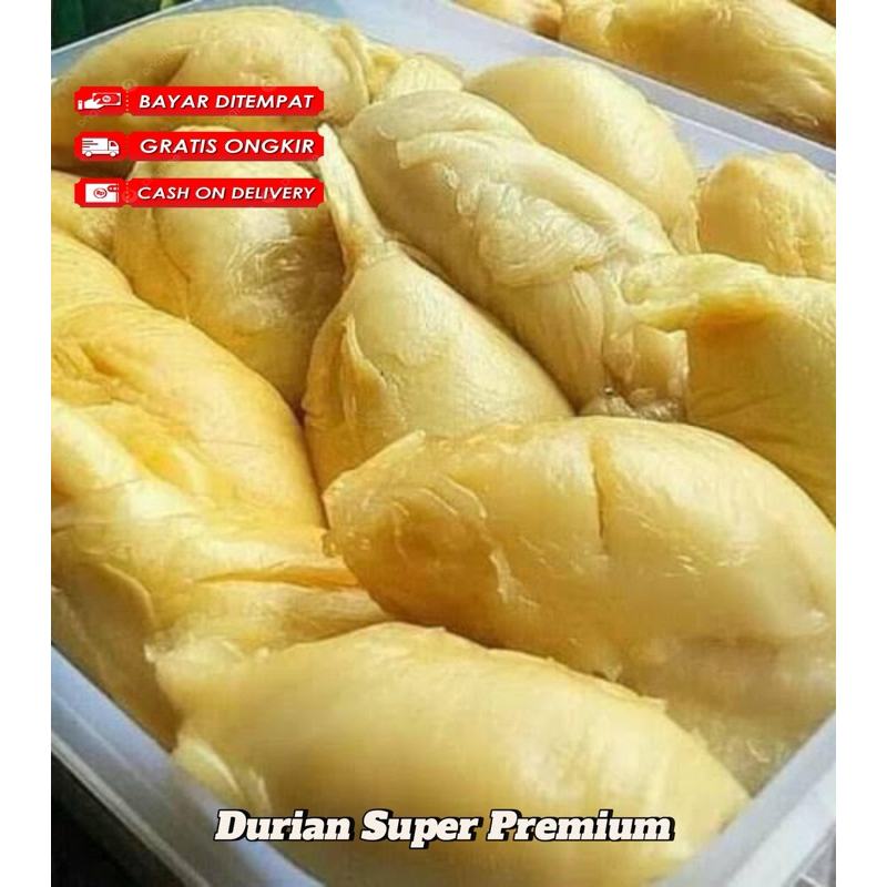 

Durian Manis Legit Durian Kupas Premium Durian Kupas Super