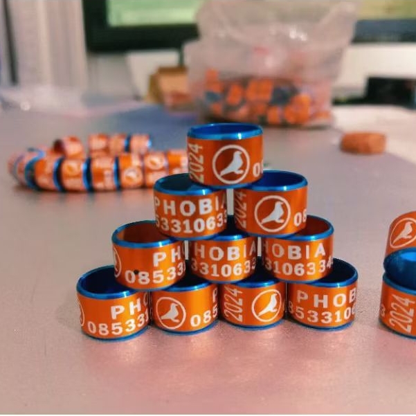 Gelang burung ring burung merpati bisa reques nama dan nomer hp, warna ring burung puter pelung dll