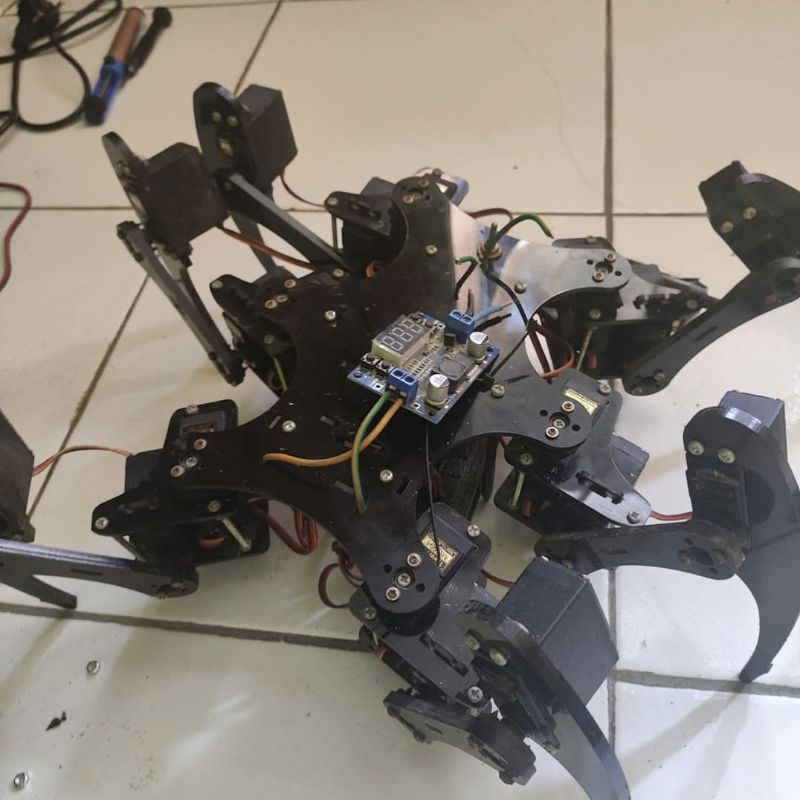 Robot hexapod kontes