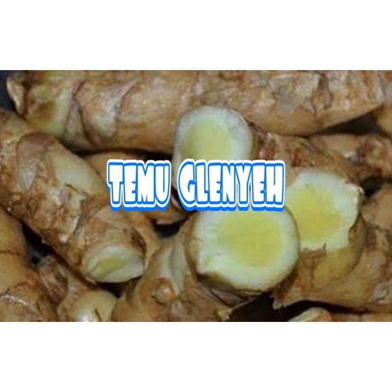 

temu glenyeh 1 kg